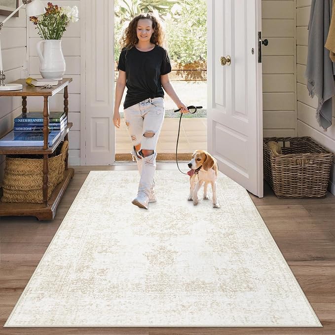 Area Rug 3x5 Entryway Rugs by AOYAOMI