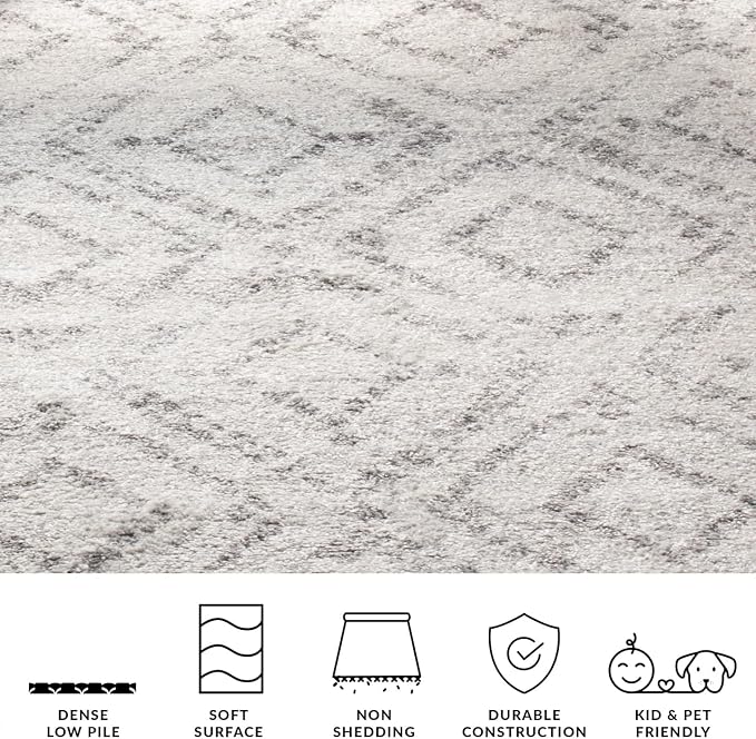 SAFAVIEH Adirondack Collection X-Large Area Rug - Image 6