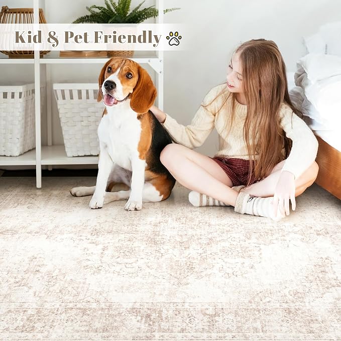 Vintage Living Room Area Rug - Image 3