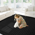 CAMILSON Modern Black Non Slip Rug 4x6 Ultra Soft High Pile Area Rugs Non Skid by CAMILSONIndoorOutdoorAreaRugs