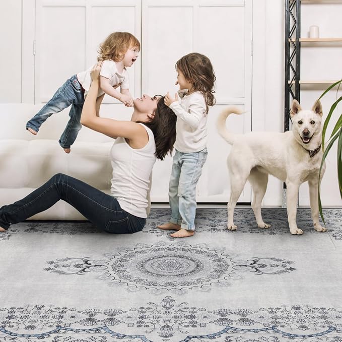 Washable Rugs 5x7 Area Rugs for Living Room, Thin Carpet for Bedroom, Soft Faux - Image 5