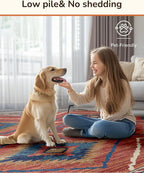 Area Rug 4x6 Rug Machine Washable Non-Slip Low Pile Print Pattern Western Rug - Image 8