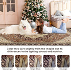 4x6 Mousse Brown Area Rug for Living Room, Machine Washable Rugs - Image 7