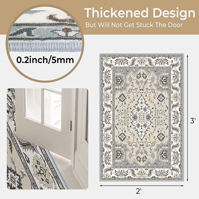 Small Area Rug 2x3ft Entryway Rug Non-Slip Washable Area Rugs Indoor Door Mat - Image 2