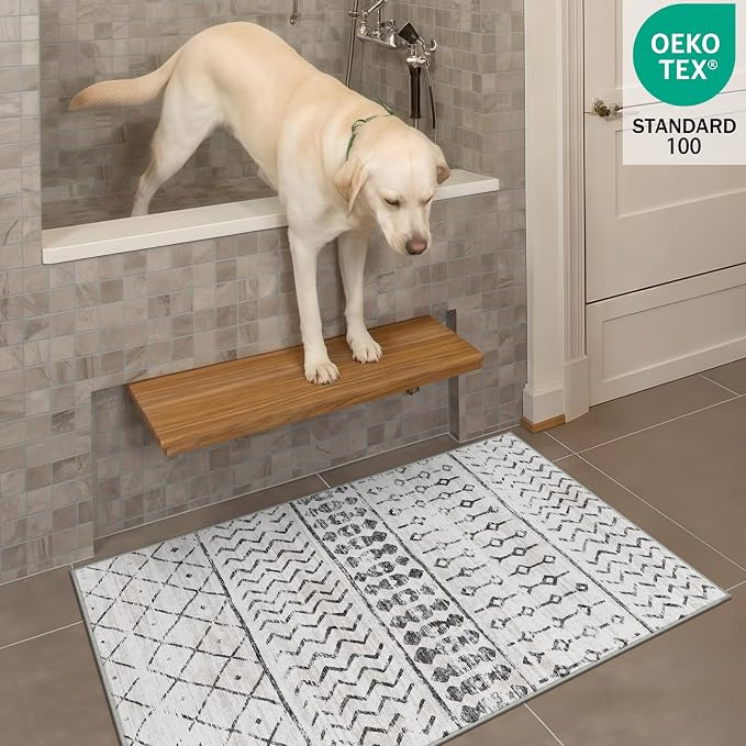 2x3 Machine Washable Area Rug for Entryway, Kids and Pets Friendly for Bedroom - Image 3