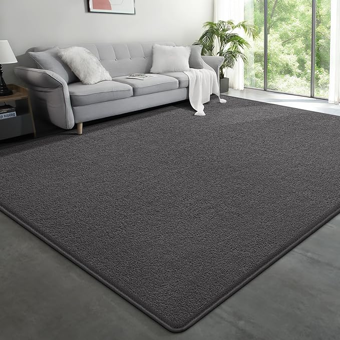 Modern Large Area Rug for Bedroom Living Room, 4x6 Feet Dark Grey Thickened by Unknown