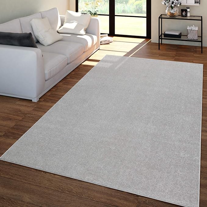 Paco Home Solid Area Rug in Silver Modern Plain Design, Size: 5'3" x 7'3" by PacoHome