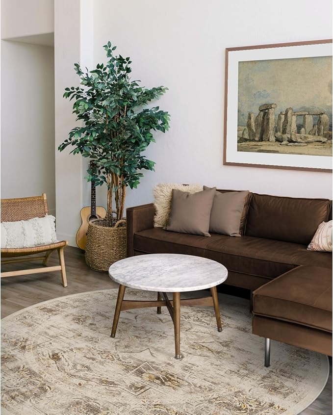 RUGGABLE Washable Vintage Area Rug – Sarrah Hazel 6 ft Round, Stain-Resistant by RUGGABLE