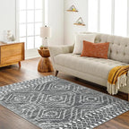 Wonnitar Moroccan 5x7 Washable Rug, Large Grey Area Rug - Image 7