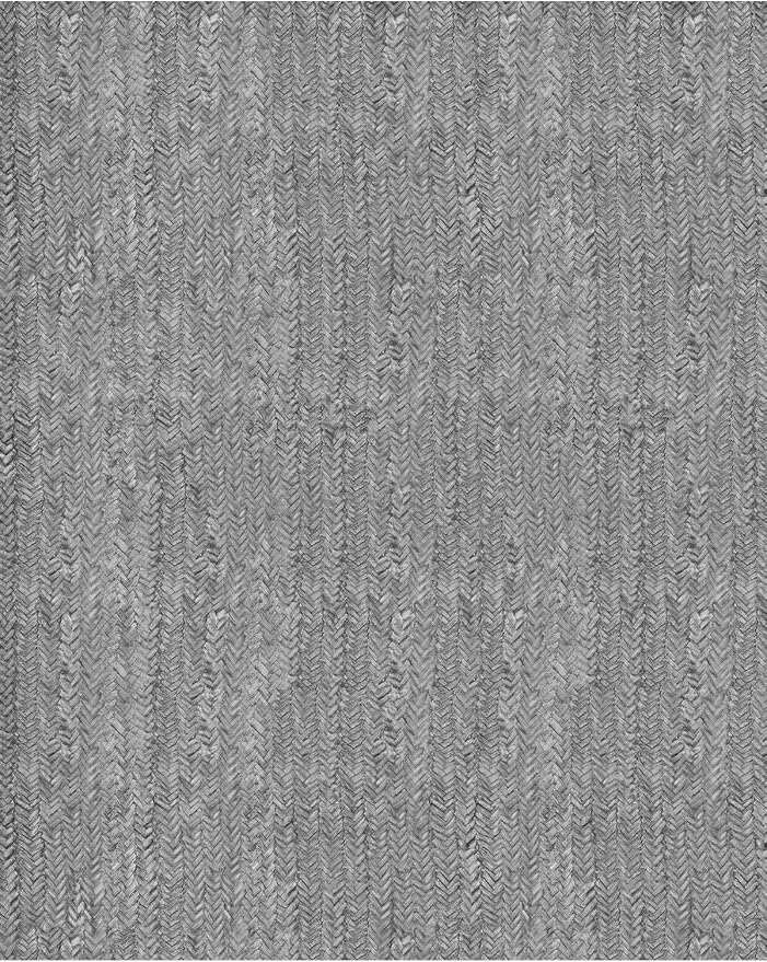 Eleisa Modern Vintage 8x10 Herringbone Chevron Area Rug - Image 7