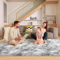6x9 Tie-Dyed Grey Rugs for Living Room Bedroom, Fluffy Large Area Rug Soft Shag by Unknown