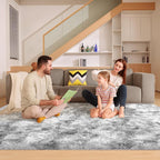 6x9 Tie-Dyed Grey Rugs for Living Room Bedroom, Fluffy Large Area Rug Soft Shag by Unknown
