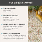 Large Entryway Rugs Indoor - Image 6