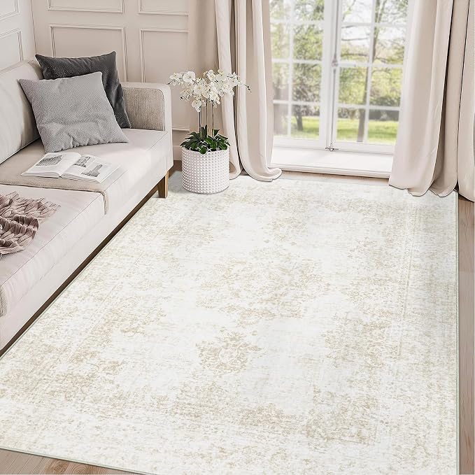 Area Rug 4x6 Entryway Rugs by AOYAOMI