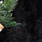 Latepis Black Carpet 4x6 Area Rug - Image 5