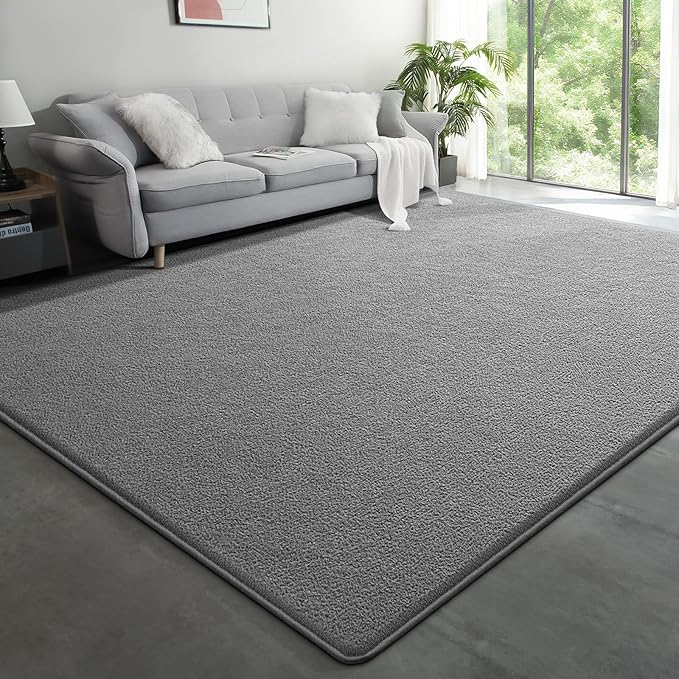 Large Modern Area Rugs for Living Room Bedroom, 6x9 Feet Grey Ultra Soft Solid by Unknown