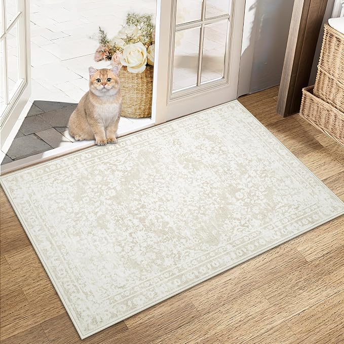 Area Rug 2x3 Entryway Rugs by AOYAOMI