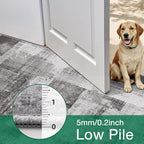 LUMI 4x6 Washable Low-Pile Area Rug - Image 8