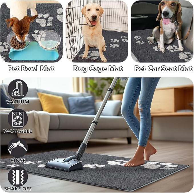 Timo Indoor Door Mat, Front Door Mat 32"x40" Non-Slip Rubber Backing Absorbent - Image 6