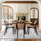 jinchan Kalen Area Rug 5x7 Washable Living Room Rug Vintage Indoor Floor Cover - Image 4