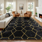 ONASAR 6x9 Area Rugs for Living Room Bedroom, Washable Large Fluffy Black and by ONASAR