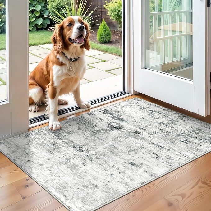 2x3 Machine Washable Area Rug for Entryway, Kids and Pets Friendly for Bedroom by GERUIMO