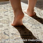 Washable 4x6 Rugs for Living Room, Boho Non-Slip Vintage Distress Small Rugs - Image 4