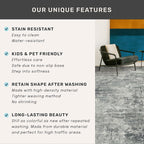 Farmhouse Gray and Blue Rugs for Living Room 8x10 - Image 6