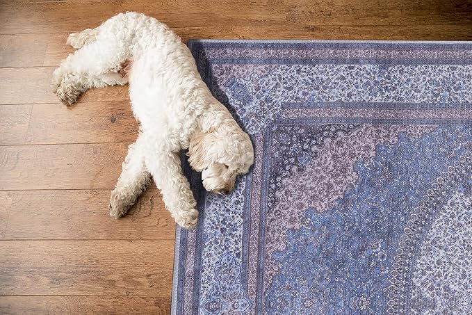 GLN Rugs Traditional Collection - Image 7