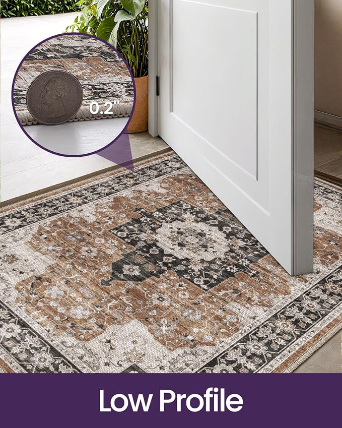 DEXI Area Rugs for Entryway 2x3, Washable Low Pile Vintage Traditional Entry - Image 6