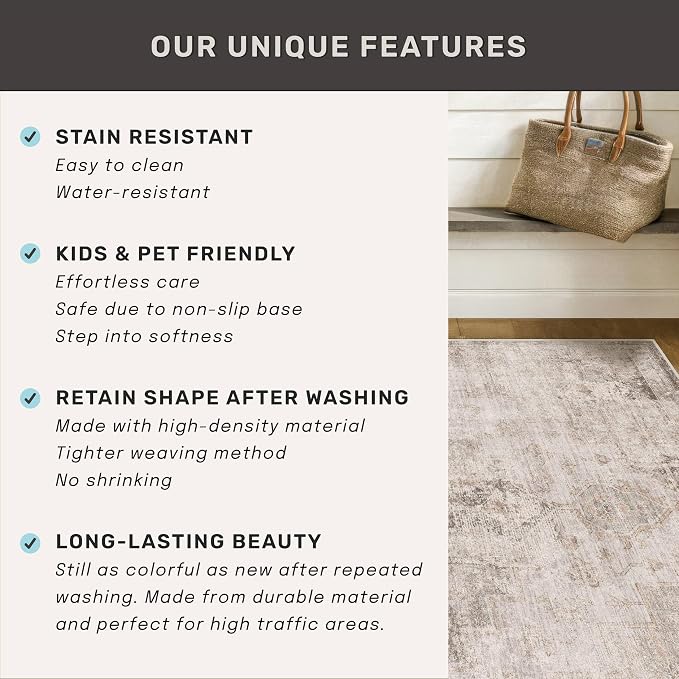Farmhouse Area Rugs for Living Room - Image 7