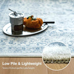 FMFUNCTEX 4x6 Washable Area Rug Blue Neutral Vintage Non Slip Low Pile - Image 5