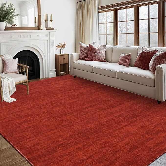 RUGSREAL 5x7 Living Room Area Rug Modern Solid Color Area Rugs Non-Slip Stain by RUGSREAL