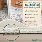 Istana 5x7 Area Rug - Image 5