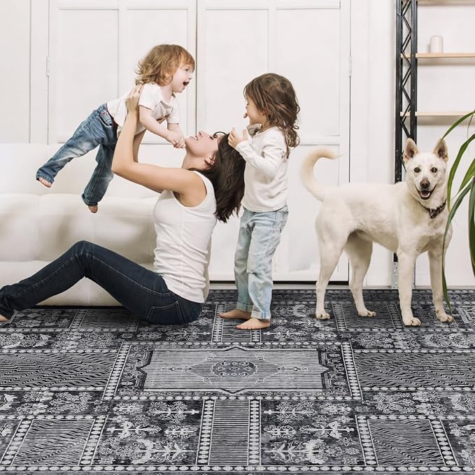Washable Rugs 5x7 Area Rugs for Living Room, Thin Carpet for Bedroom, Soft Faux - Image 5