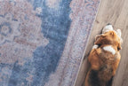 GLN Rugs Traditional Collection - Image 4