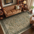 Moody 6x9 Area Rugs for Living Room, Low Pile Thin Washable Non Slip Rugs for by Jainmy