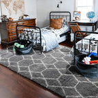 ONASAR Large Area Rugs for Living Room, 7x10 Grey and White Rug, Moroccan Thick - Image 8