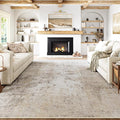 9x12 Area Rug Beige Grey Abstract Living Room Bedroom Washable Carpet Neutral by WondRg