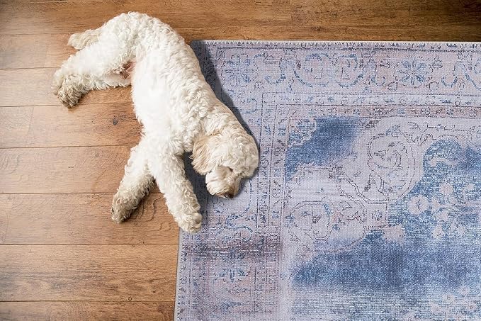 GLN Rugs Traditional Collection - Image 7