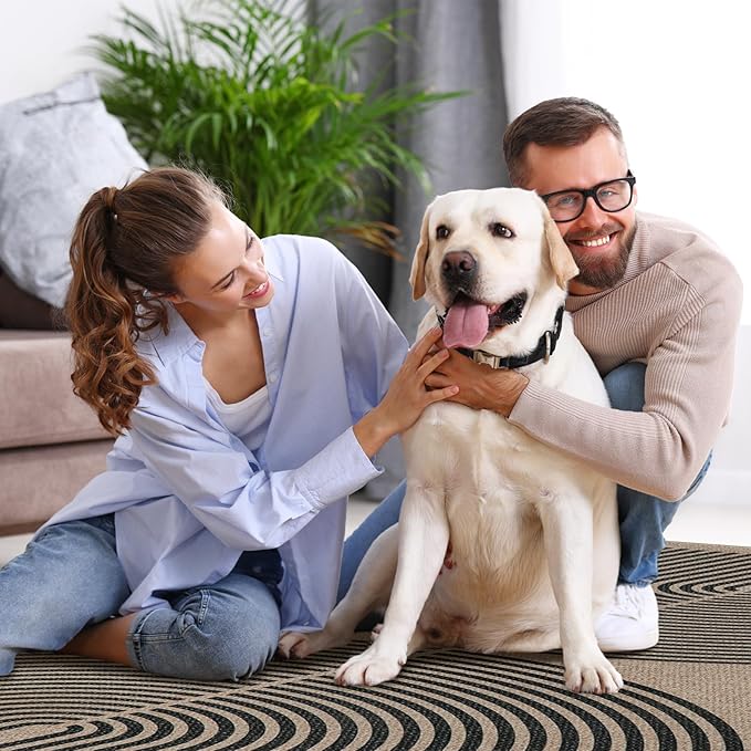 Lahome Modern Rainbow Easy Jute 6x9 Rug, Large Living Room Carpet Washable - Image 6