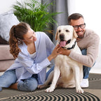 Lahome Modern Rainbow Easy Jute 6x9 Rug, Large Living Room Carpet Washable - Image 6