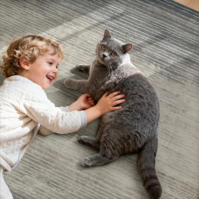 Joydeco 5x7 Area Rugs for Living Room, Washable Modern Abstract Non Slip Soft - Image 8