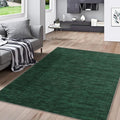 RUGSREAL 5x7 Living Room Area Rugs Modern Solid Color Area Rug Non-Slip Floor by RUGSREAL