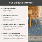 Boho 9x12 Soft Rugs for Living Room - Image 7