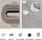 Modern Washable Rug for Living Room 5x7, Boho Abstract Striped Area Rugs - Image 7