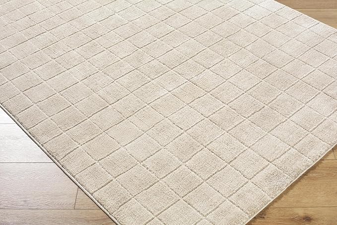 Livabliss x Our PNW Home Cascade Minimalist Grid Area Rug, Light Beige - Image 5