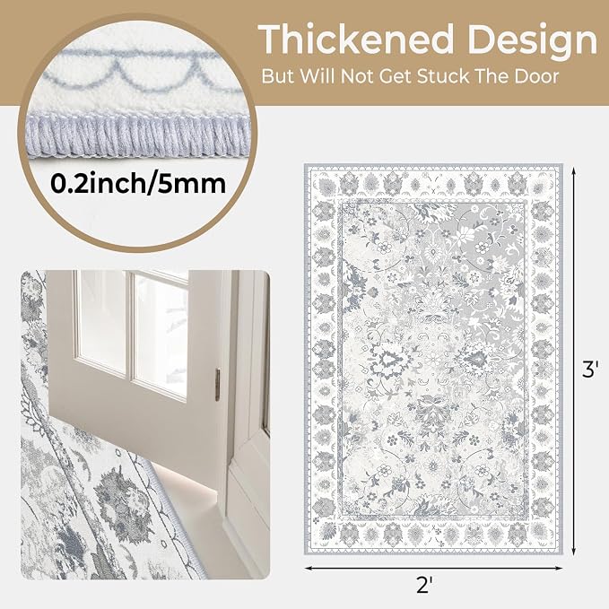 Small Area Rug 2x3ft Entryway Rug Non-Slip Washable Area Rugs Indoor Door Mat - Image 2