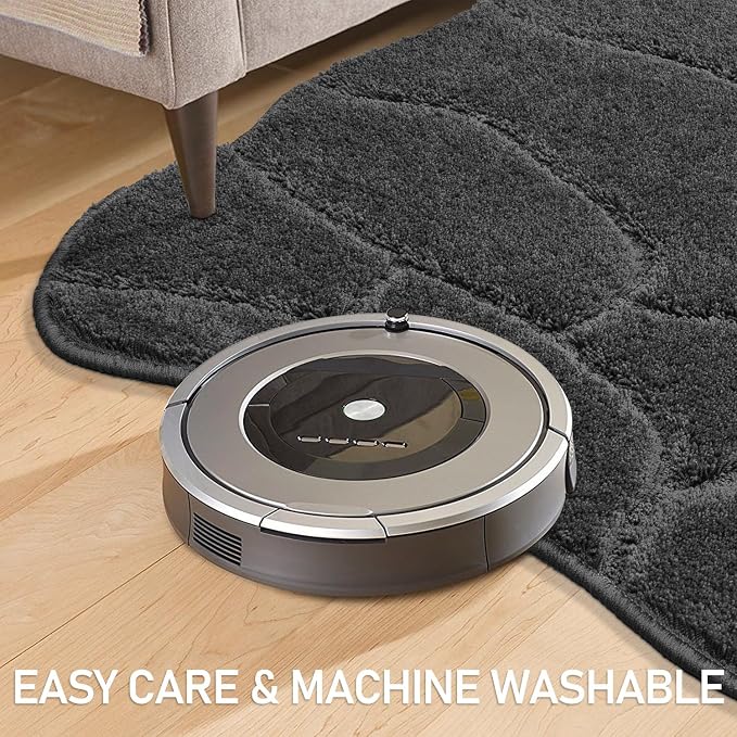 BSICPRO Dog Mat for Muddy Paws, 24x36 Low Profile Absorbent Dirt Trapper Door - Image 5