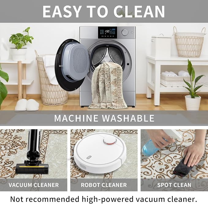 Easy-Going Boho Neutral Area Rug 2x3 Washable Entryway Rugs Front Door Mat - Image 5